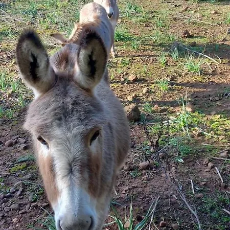 Agroturismo Su Tiresi Cala Gonone