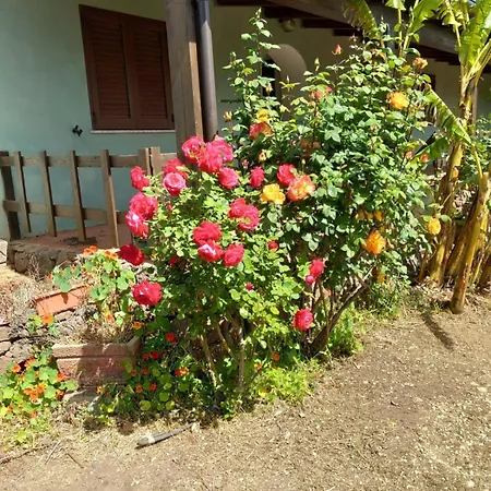 Gospodarstwo agroturystyczne Su Tiresi Cala Gonone