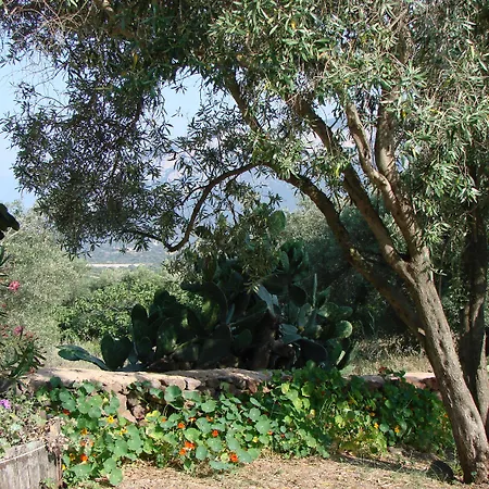 Su Tiresi Agroturismo Cala Gonone