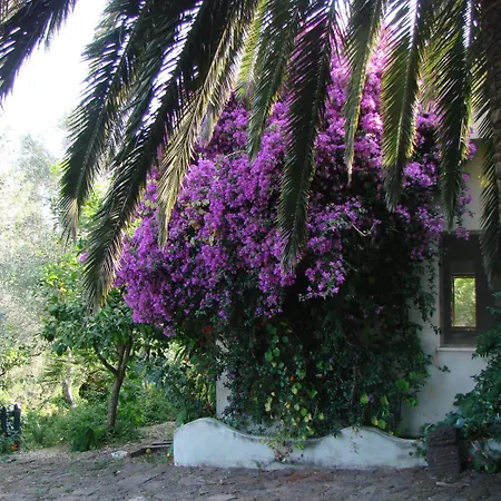 Su Tiresi Cala Gonone