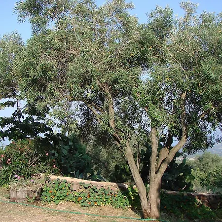 Su Tiresi Agroturismo
