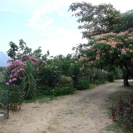 Alloggio per agriturismo Su Tiresi