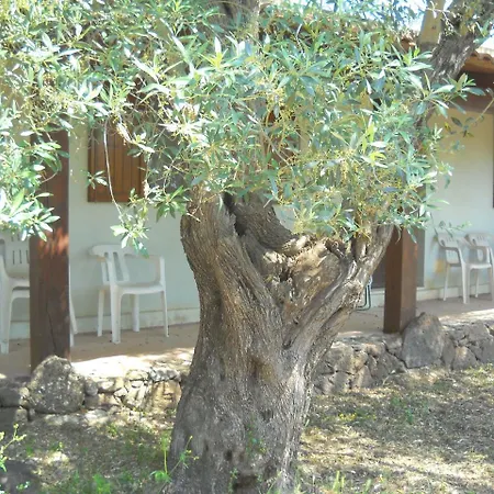 Alloggio per agriturismo Su Tiresi