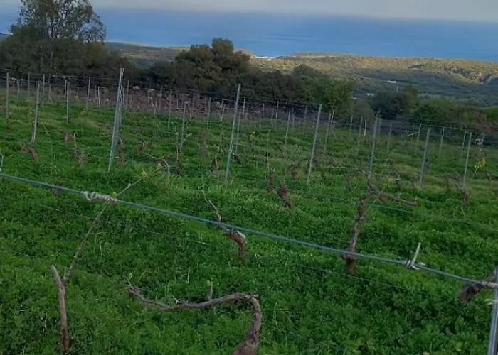 Gospodarstwo agroturystyczne Su Tiresi