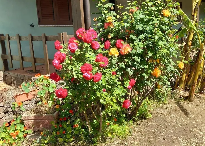 Gospodarstwo agroturystyczne Su Tiresi Cala Gonone