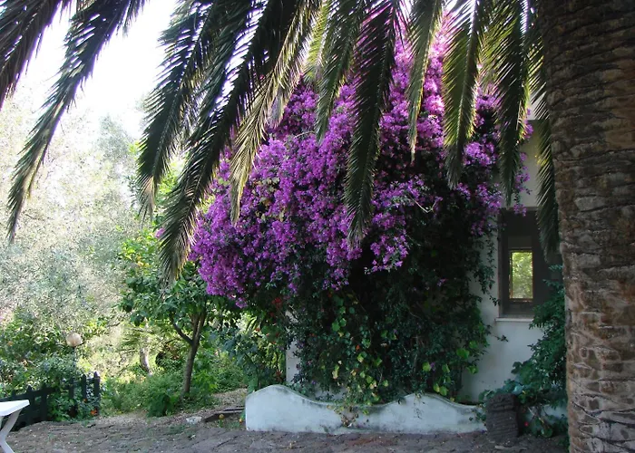 Su Tiresi Cala Gonone