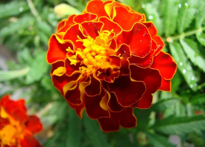 Gospodarstwo agroturystyczne Su Tiresi Cala Gonone