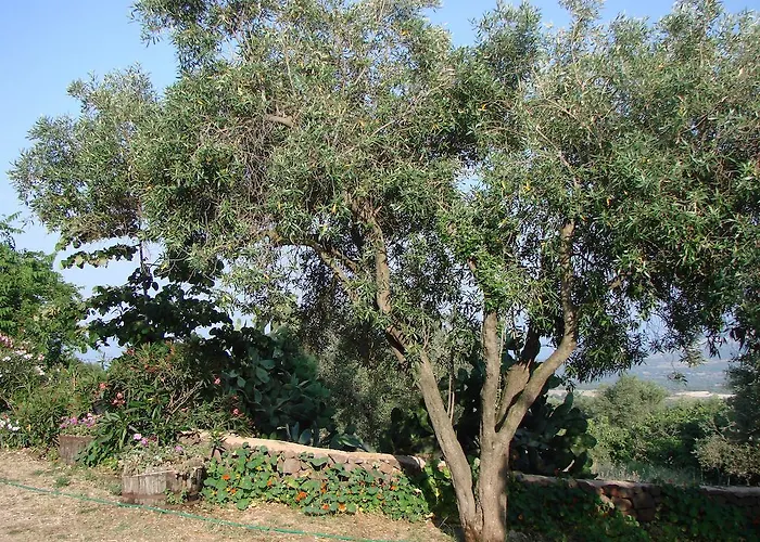 Su Tiresi Gospodarstwo agroturystyczne