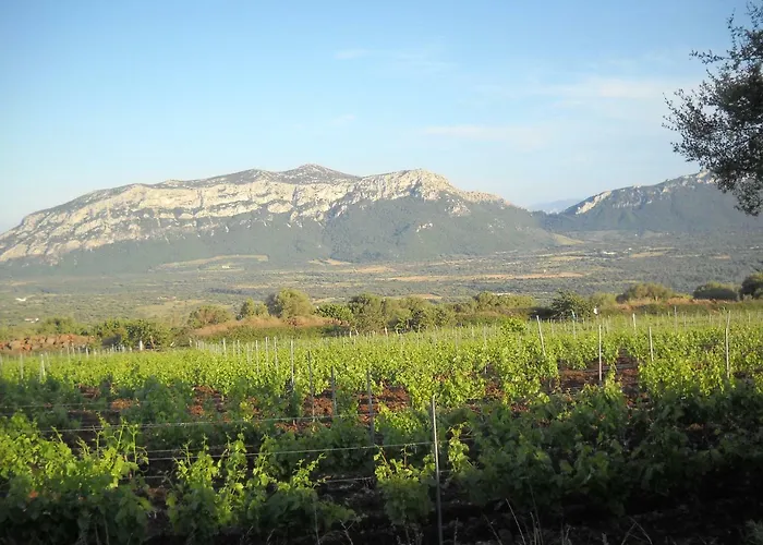 Su Tiresi Gospodarstwo agroturystyczne Cala Gonone